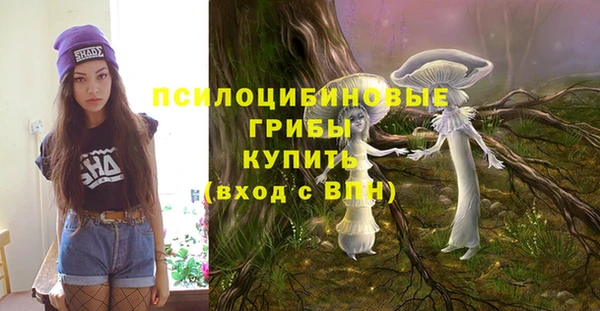 крисы Алексеевка