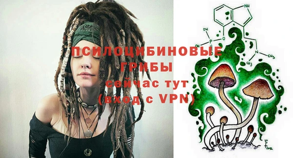 крисы Алексеевка