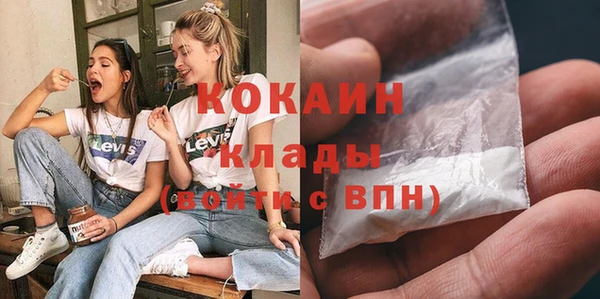 ГАЛЛЮЦИНОГЕННЫЕ ГРИБЫ Алзамай