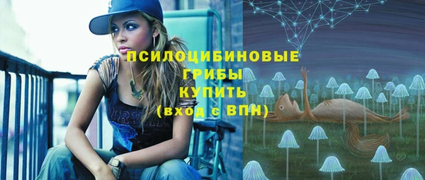 мяу мяу мука Алексин