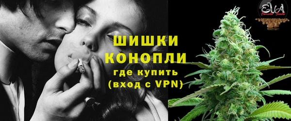 ГАЛЛЮЦИНОГЕННЫЕ ГРИБЫ Покачи